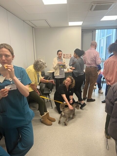 people talking in a room with a dog being stroked